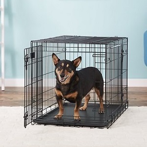 36 inch wire crate