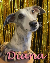 Diana